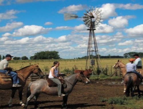 Turismo rural en los departamentos de Lavalleja, Maldonado, Rocha y Treinta y Tres