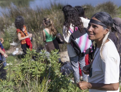 Mujeres del Arroyo Pantanoso Recuperan su Memoria y Conexión Ancestral