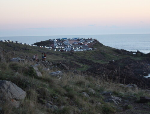 Comisión Especial acordó elaborar un Plan Local para la Microrregión Punta Ballena