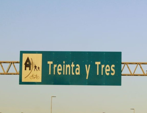 Viviendas vacías en ciudades intermedias: el caso de Treinta y Tres