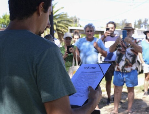 Conflictos ambientales y disputas por el territorio costero en Maldonado